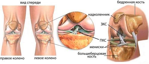 anatomia_PKS